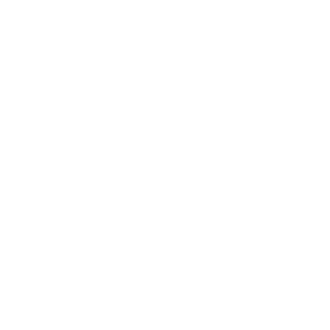 bier